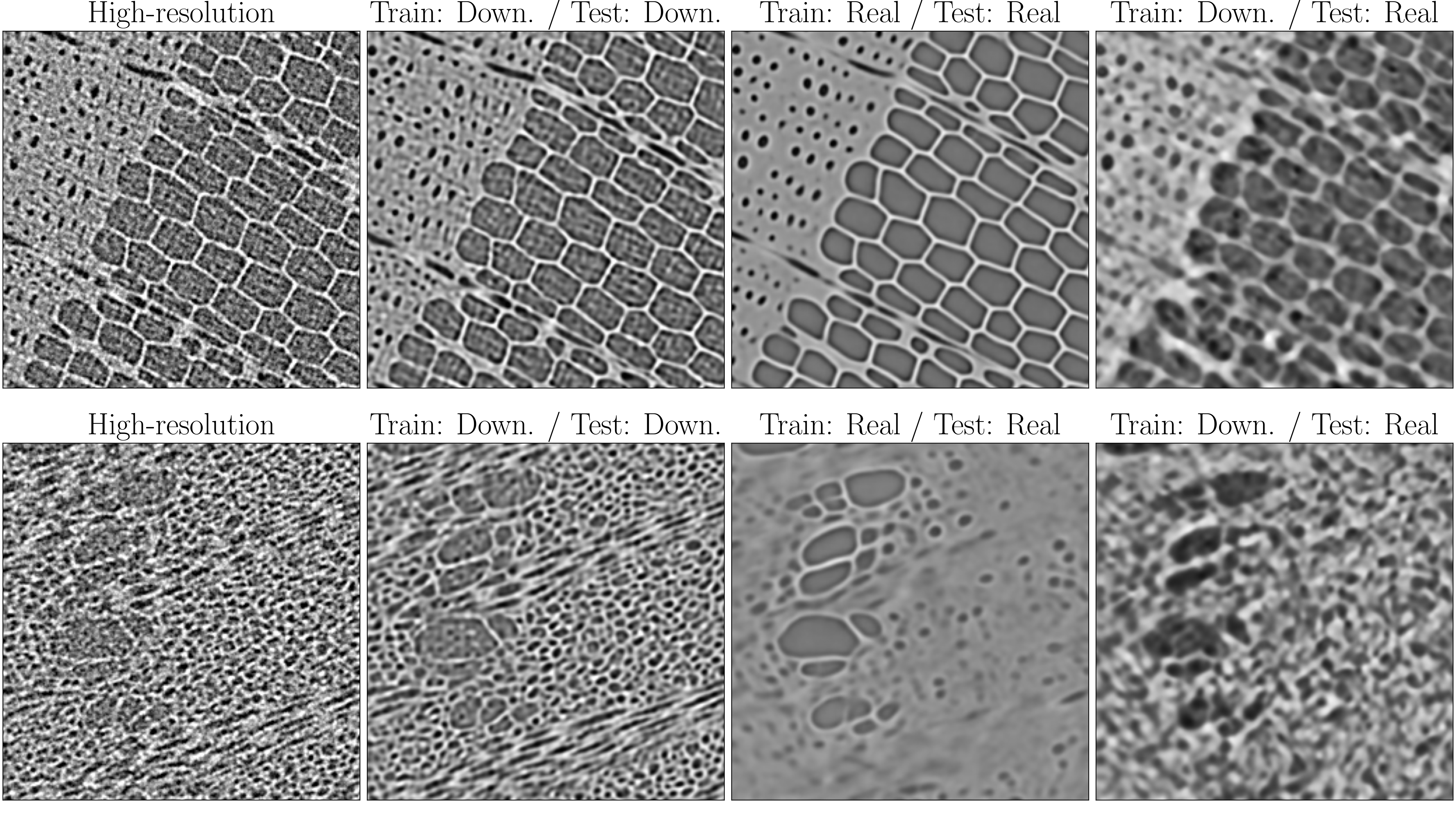 Domain Shift Visualization